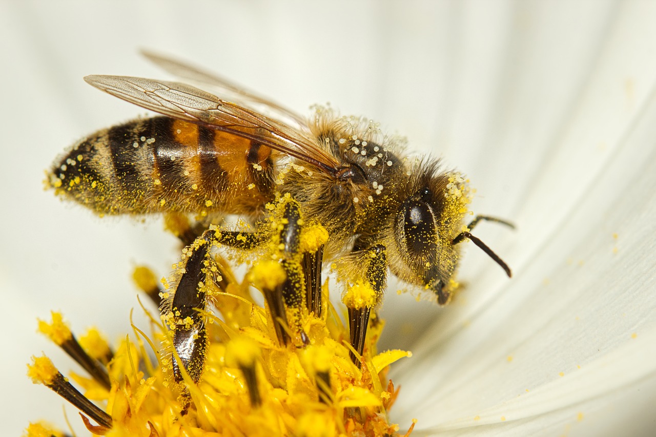 ニキビが気になる花粉シーズンにおすすめの食事は？