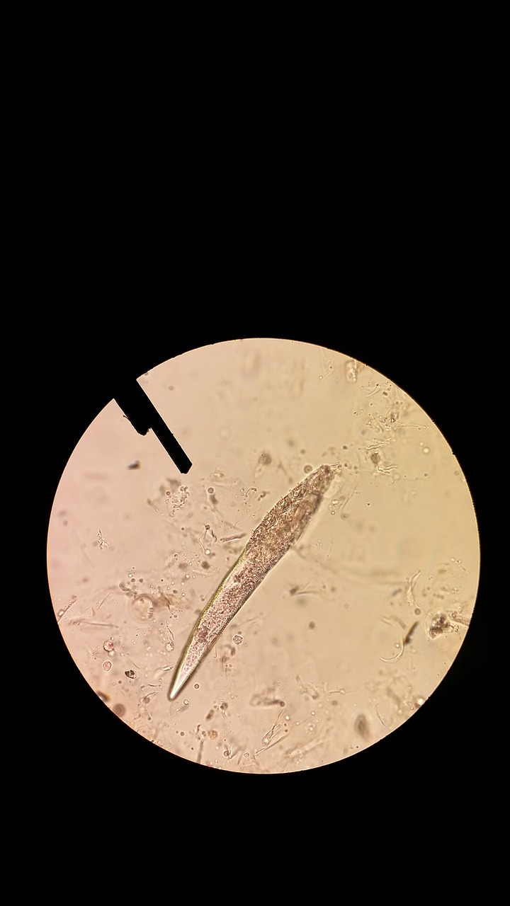 ニキビが紫外線ダメージを受けた時の効果的な回復方法は？