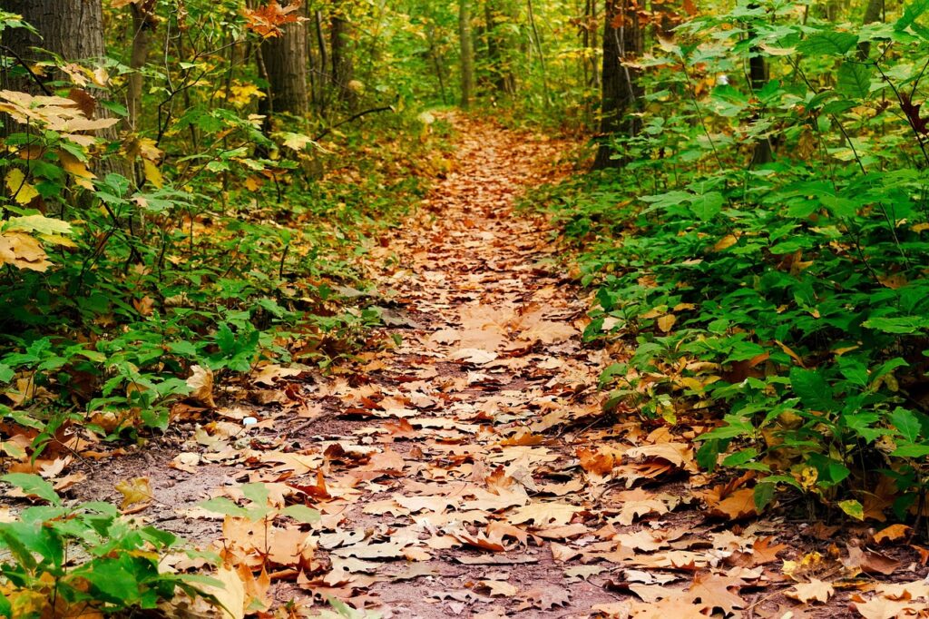 鉄分が不足するとニキビが悪化するのは本当ですか？