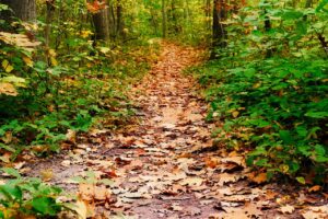 鉄分が不足するとニキビが悪化するのは本当ですか？