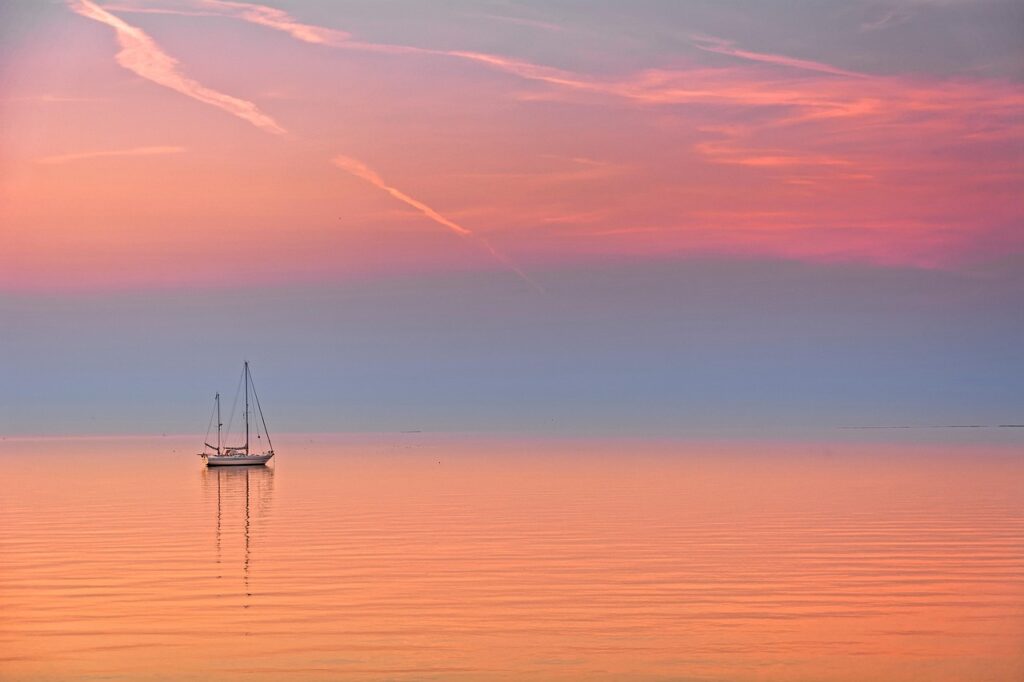 ニキビ対策に最適なホエイプロテインの代替は？