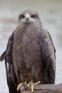 繰り返すニキビはホルモンバランスと夜更かしの影響が関係しているのか？