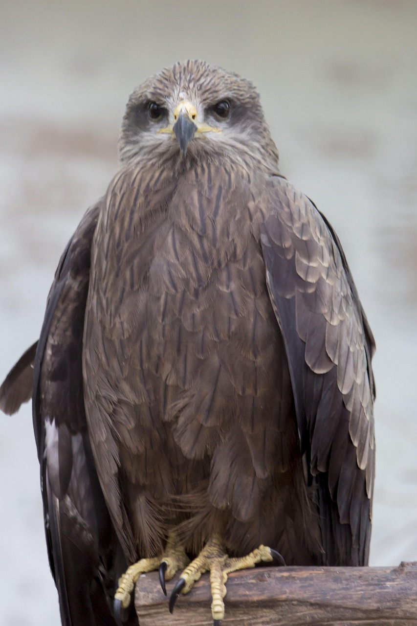 繰り返すニキビはホルモンバランスと夜更かしの影響が関係しているのか？