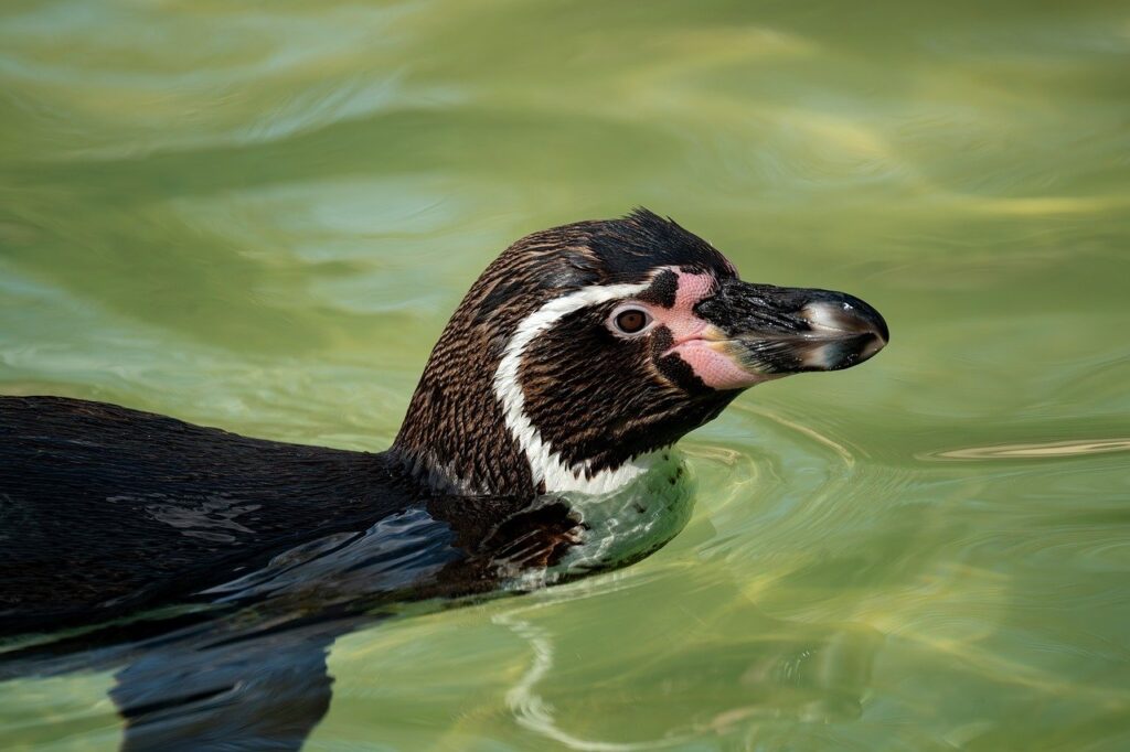 食欲が止まらないときの繰り返すニキビ対策に効果的な体内ケアは？