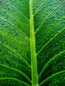 ニキビを繰り返す方がまず体内ケアを変えるべき優先順位とは？