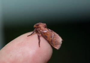 受験生の夜更かしが繰り返すニキビの対策方法は？