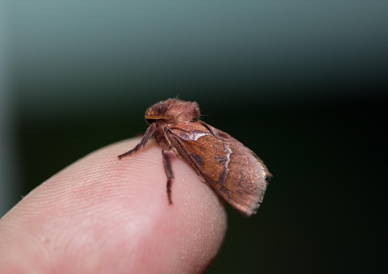 受験生の夜更かしが繰り返すニキビの対策方法は？
