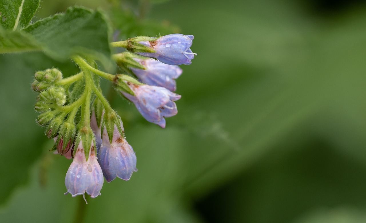 繰り返すニキビや顎ニキビは生理周期とどう関係しているのか？
